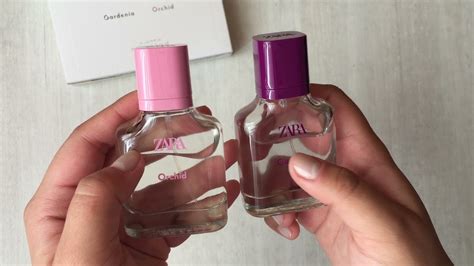 orchid zara perfume dupe